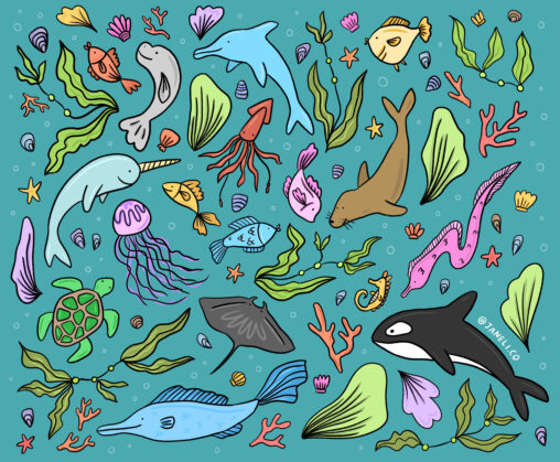 marine animals illustration